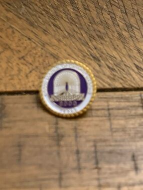 Gold and Purple Enamel Texas 2000Pin